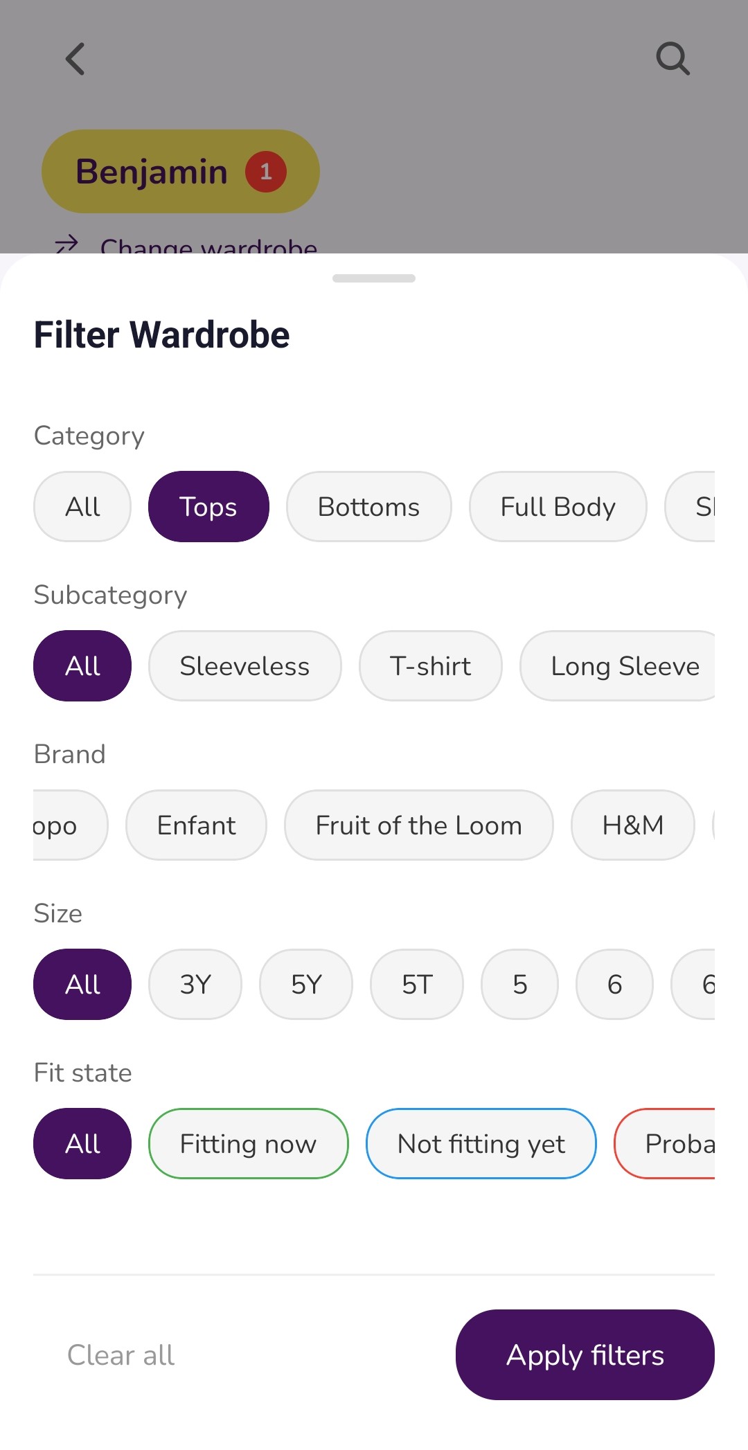 The Filter Wardrobe panel with options for category, subcategory, brand, size and fit state